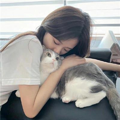 蜜月计划